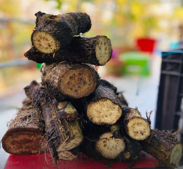 খুলনার বিখ্যাত চুইঝাল!